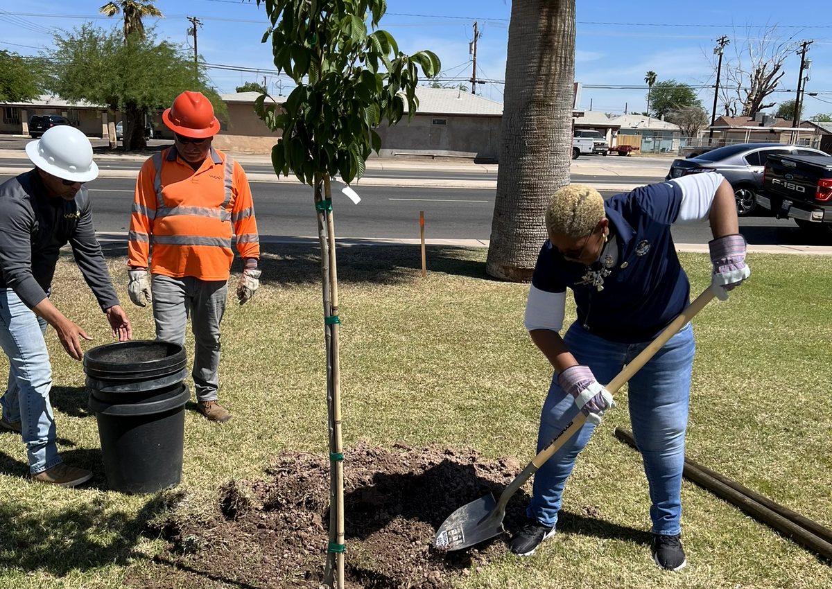 Community Beautification